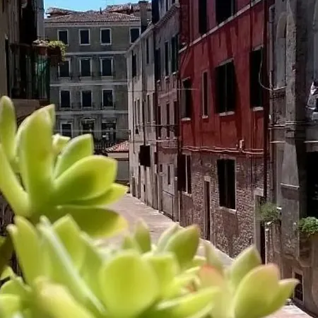 Ca Leda *